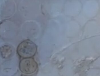 Los bloques pesaban casi 25 toneladas y eran enviados desde Mexico (Foto: Twitter)