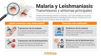 Infografía horizontal sobre Malaria y Leishmaniasis, mostrando mosquitos, una lupa, y gráficos con síntomas como fiebre, úlceras y pérdida de peso.