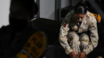 Imagen de una elemento de