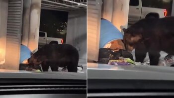 Un joven captó en video