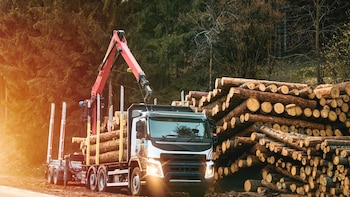 Datos geoespaciales y logística: una