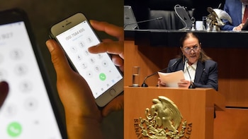 Morena propone reforzar la protección