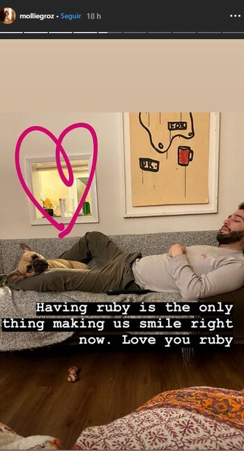 (Foto: Instagram @molliegroz)