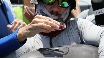 La contaminación por microplásticos ha