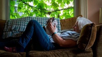 Una interpretación inadecuada o falsamente