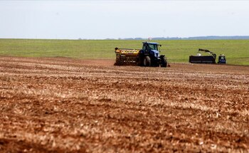 Un tractor planta soja en