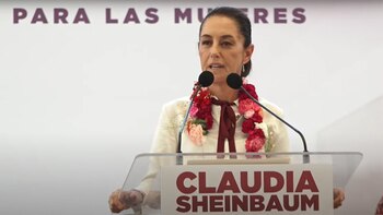 En esto consiste la ley