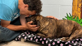 Uno de sus rescatistas acudió