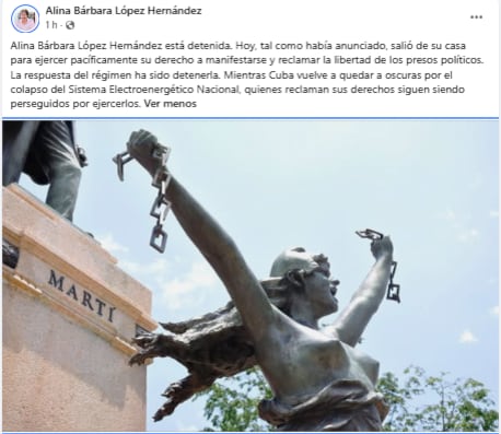 La activista sostiene cada día 18 una jornada de protesta cívica para denunciar la persecución política y las restricciones a las libertades públicas en Cuba. (Cortesía: Redes sociales)