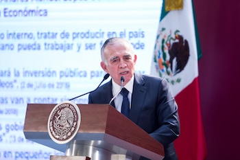 (FOTO: GALO CAÑAS /CUARTOSCURO.COM)