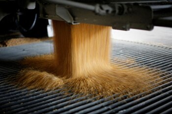 Agricultores estadounidenses enfrentan quiebras ante