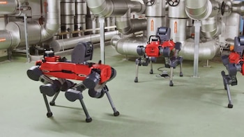 Perro robot