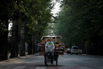 Una mujer lleva en una