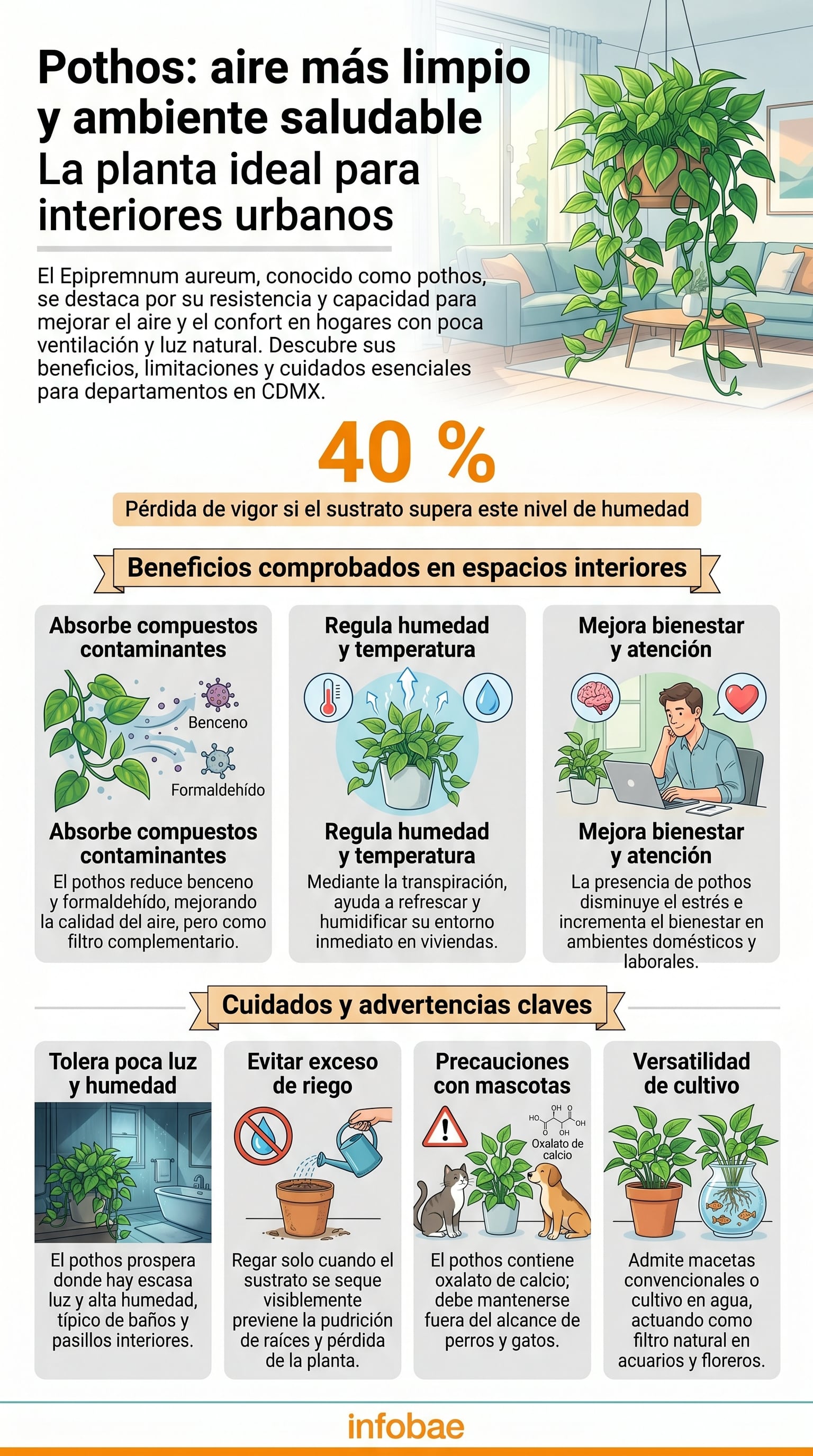 El pothos (Epipremnum aureum) purifica el aire interior, regula la humedad y mejora el bienestar, siendo una planta ideal y adaptable para hogares urbanos, aunque requiere cuidados específicos para prosperar. (Imagen Ilustrativa Infobae)