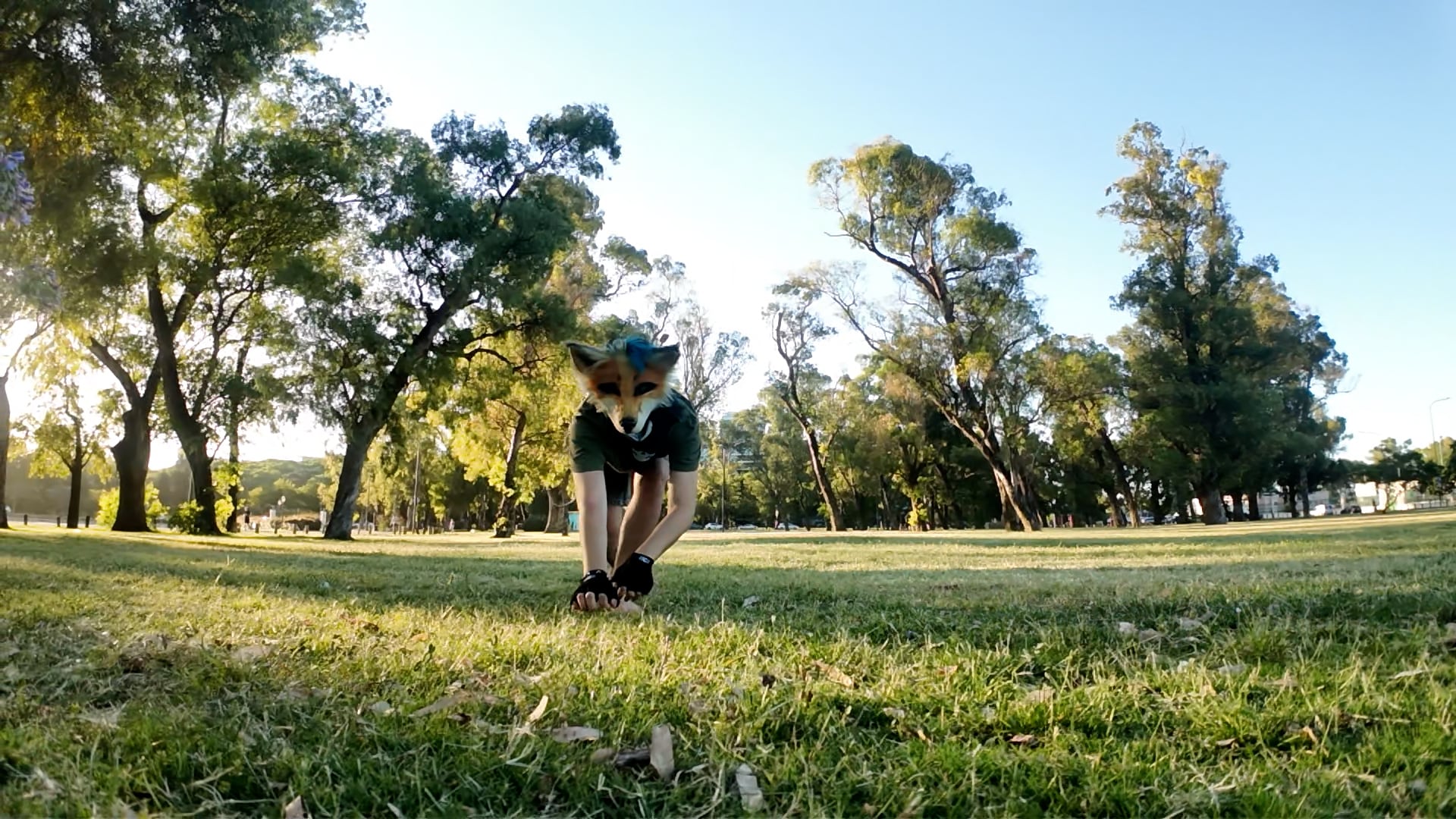 Therian no es una categoría psiquiátrica sino una forma de nombrar experiencias internas con animales en foros digitales desde los años noventa