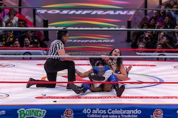 (CMLL / DIego Cedrix)