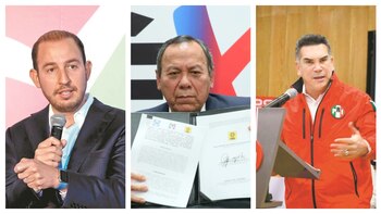 Según Mario Delgado, es importante