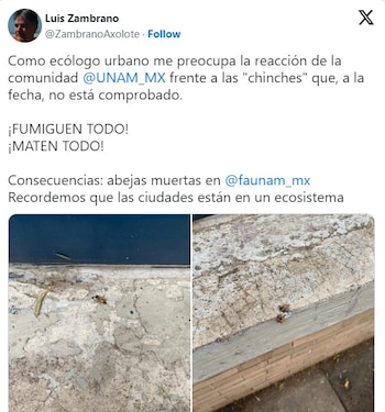 Especialista advierte sobre efectos secundarios