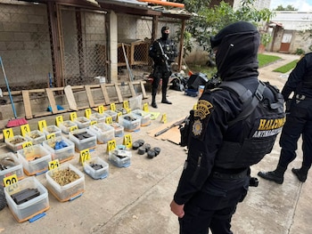 Agentes policiales con pasamontañas observan cajas de plástico con municiones y cargadores etiquetados con marcadores numéricos en un patio