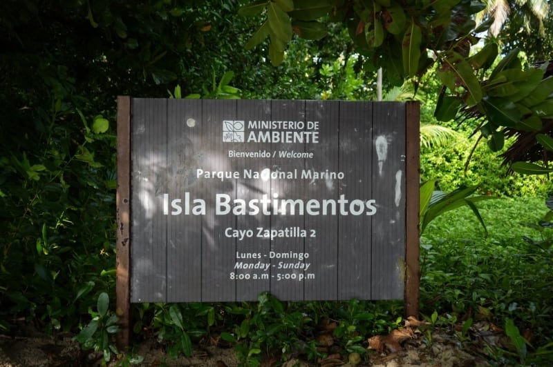 El Parque Nacional Marino Isla Bastimentos es hogar de cuatro de las cinco especies de tortugas marinas presentes en Panamá: Carey (Eretmochelys imbricata), Verde (Chelonia mydas), Baula (Dermochelys coriácea) y Cabezona (Caretta caretta). (MiAmbiente)