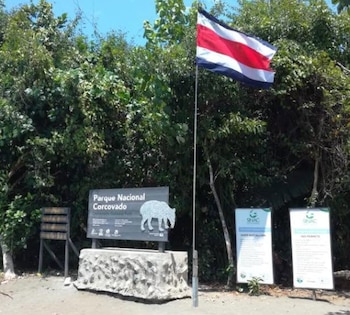 Corcovado alberga aproximadamente el 2.5% de la biodiversidad mundial; sin embargo, la presencia de fauna emblemática como jaguares y tapires se ve amenazada por el avance de la caza furtiva y la minería (Cortesía: Parque nacional Corcovado).