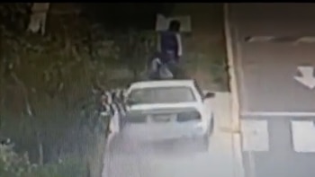 Conductor atropelló a varias personas