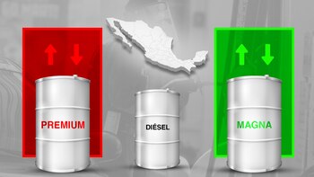 Los precios de las gasolinas se actualizan diariamente debido a una serie de factores. (Infobae)