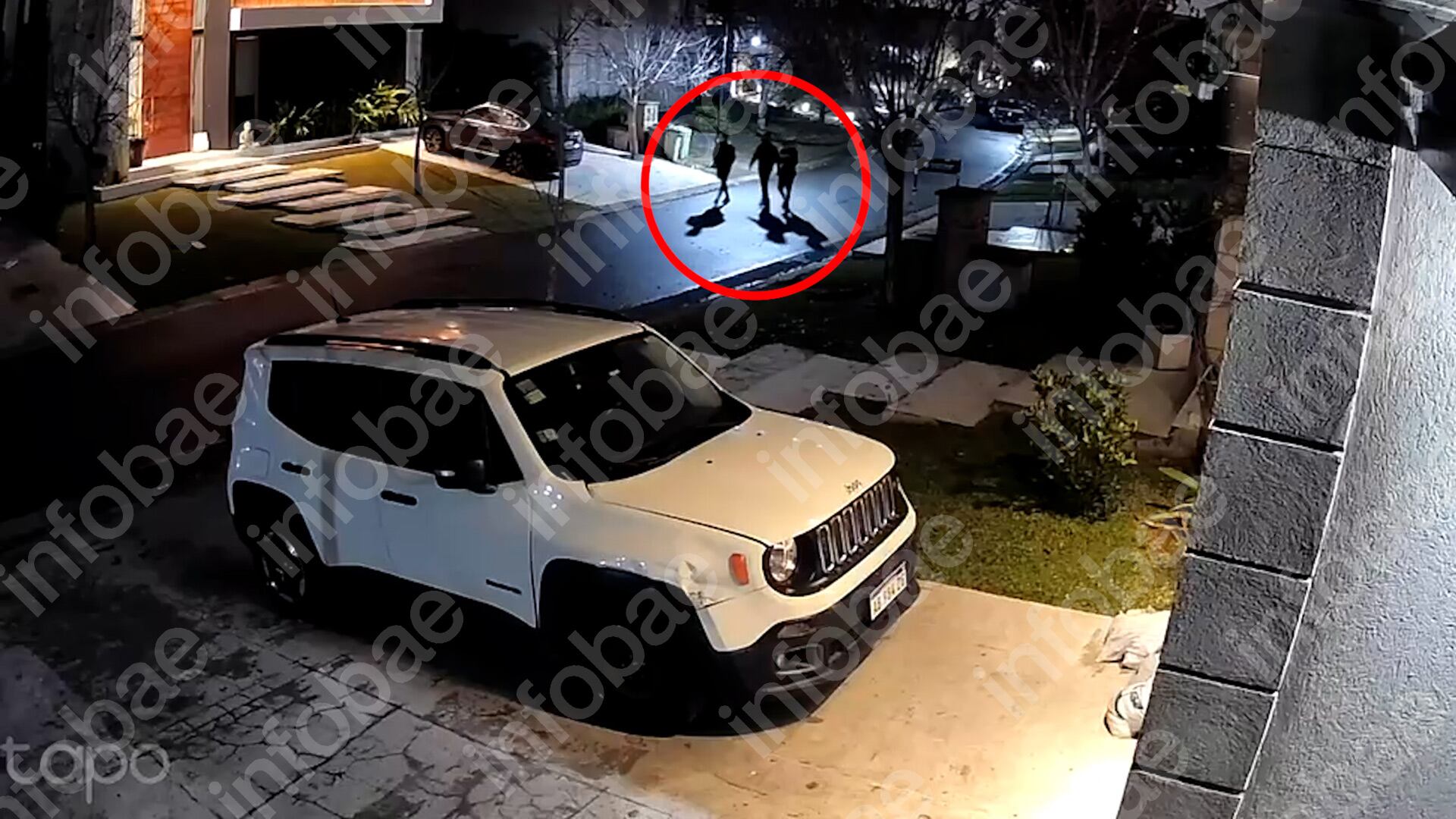 Ladrones en Nordelta: el video del audaz robo de dólares a un conocido cantante