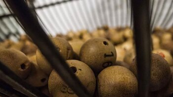 Los pasos para jugar la