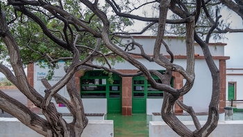 Tefía, el campo de trabajos