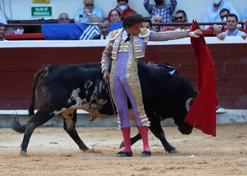 El torero peruano Roca Rey,