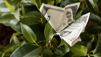 ¿Cómo funcionan los créditos de carbono en Perú? Desafíos jurídicos, sociales y de inversión detrás de un sector en expansión