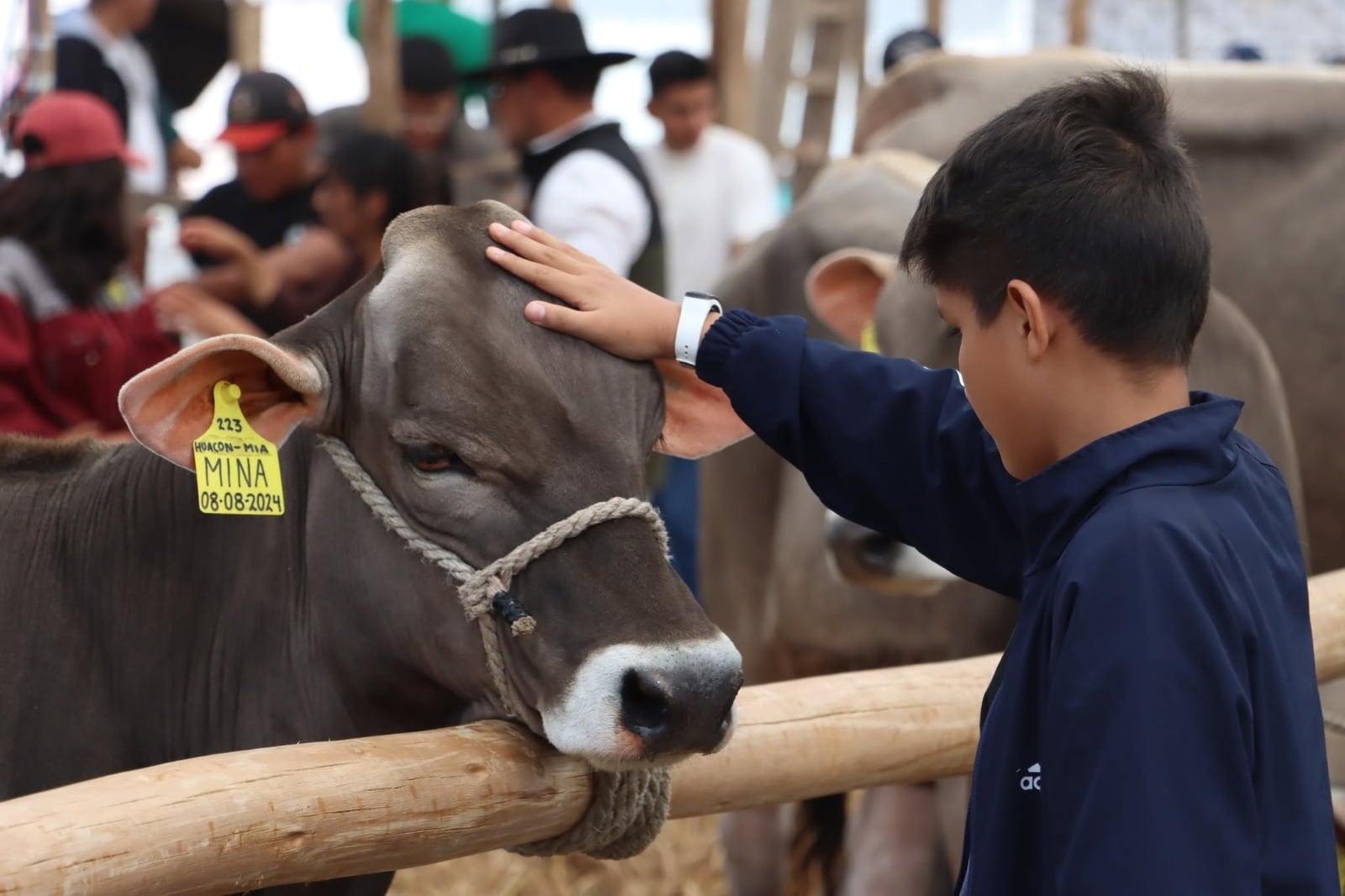 La Asociación Holstein del Perú indicó que los productores ya perciben cambios en las condiciones habituales, aunque El Niño todavía no habría generado un impacto directo.