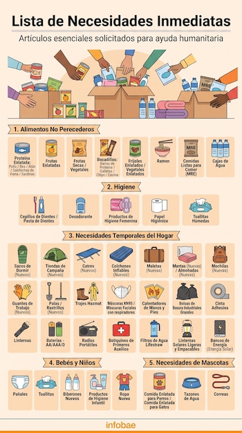 Infografía de Infobae con lista de necesidades inmediatas: alimentos no perecederos, higiene, hogar, bebés y niños, y necesidades de mascotas ilustradas.