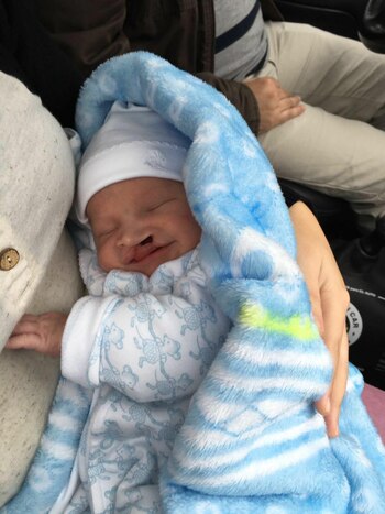 Vicente, el hijo de Celeste