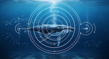 Una ballena jorobada nada en el océano azul profundo, emitiendo ondas sonoras luminosas y burbujas. Peces pequeños nadan alrededor. El fondo marino está difuminado.