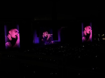 Zayn Malik