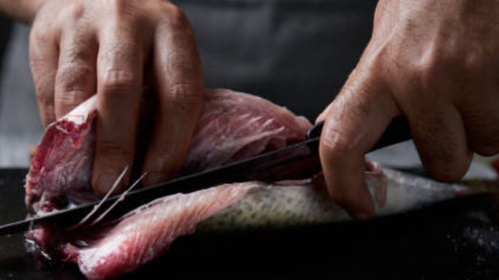 El Niño pone en riesgo más de 120 mil empleos de la pesca peruana entre 2026 y 2027