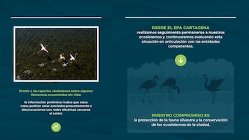 El EPA sugirió que cables