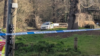 Dos adolescentes británicos detenidos y