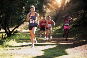 El entrenamiento, la disciplina y