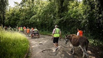 Los pacientes encuentran ayuda en la terapia con burros