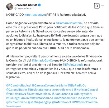 Lina Garrido sostuvo que el