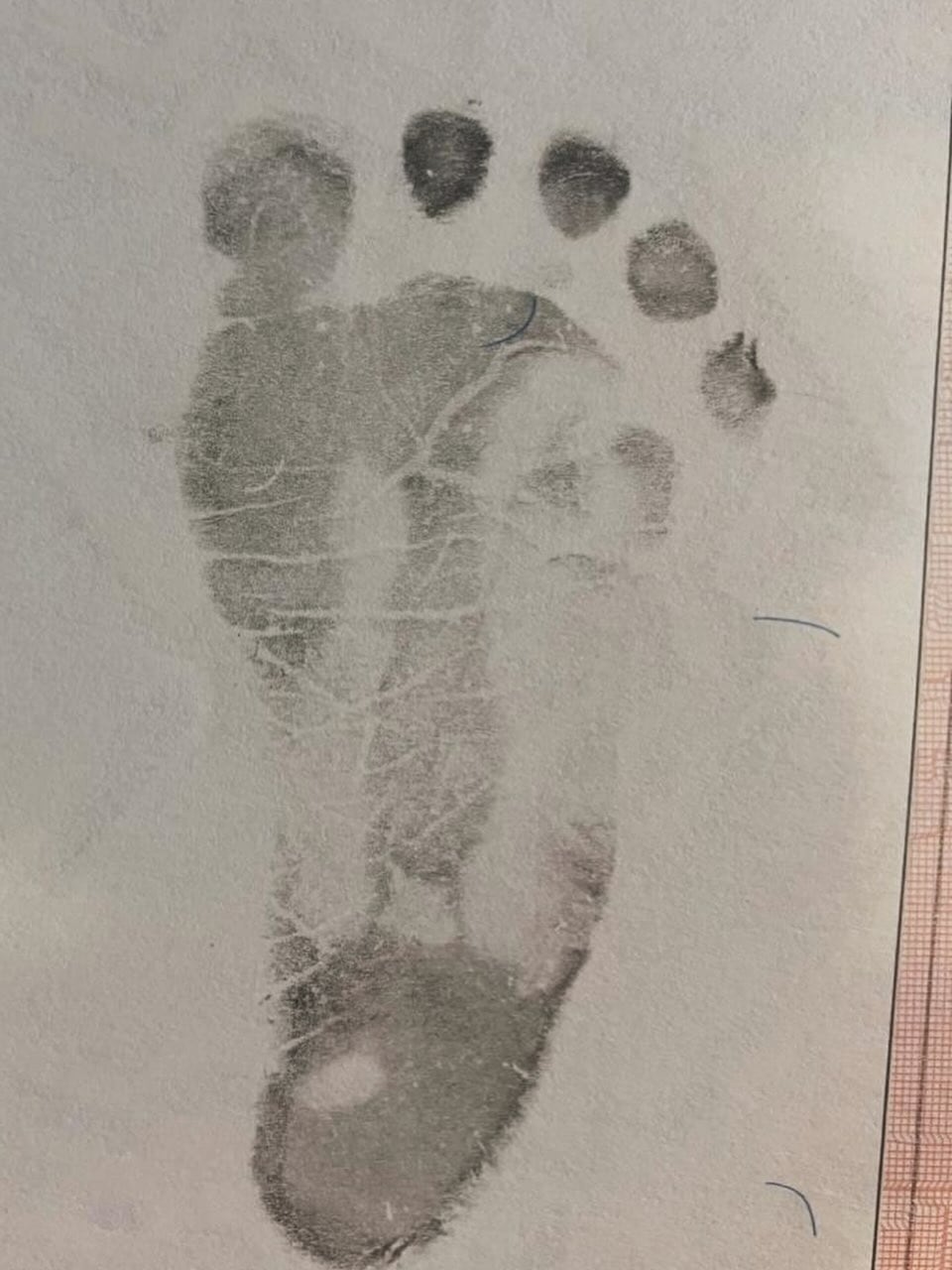 El alta médica permitió que la familia Azzaro-Nobile regresara a casa justo en el cumpleaños de Sol, marcando una doble celebración