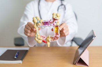 Imagen 5IPP2IJ7OVF5BB6YB2HXY5C37I