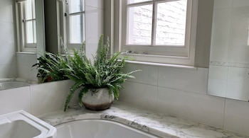 Un helecho verde en una maceta sobre una encimera de mármol, junto a un espejo y una ventana de marco blanco.