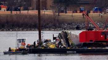 Partes de los restos tras