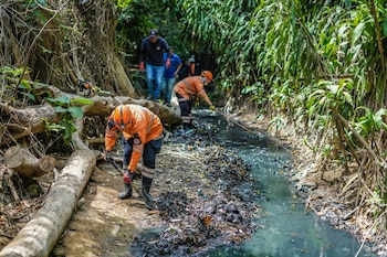 Equipos de Protección Civil realizan labores de limpieza en cauces naturales para prevenir inundaciones durante la temporada de lluvias (Cortesía Protección Civil).