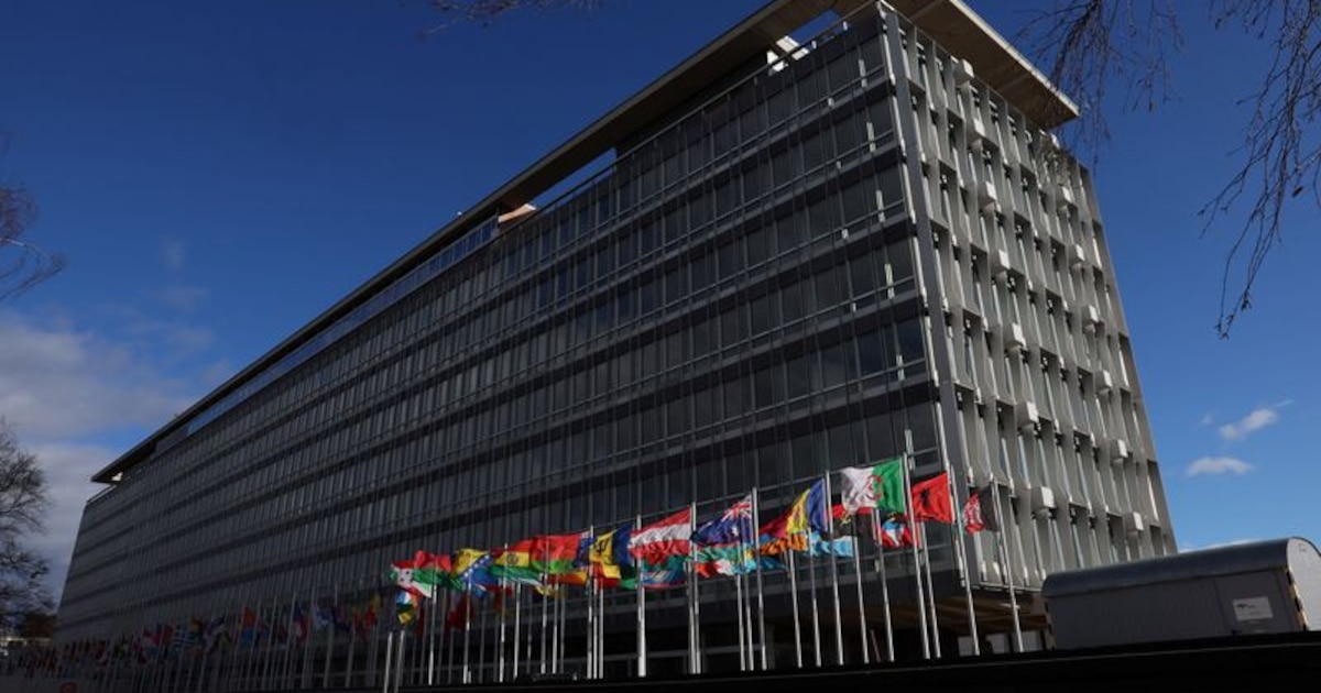¿Por qué Argentina se retira de la Organización Mundial de la Salud? Cinco claves para entender la decisión