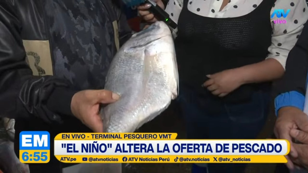 Un comerciante sostiene un pescado en el Terminal Pesquero de Villa María del Triunfo durante un reporte sobre el impacto del fenómeno de El Niño en la oferta marina.